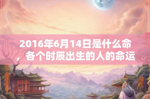 2016年6月14日是什么命，各个时辰出生的人的命运