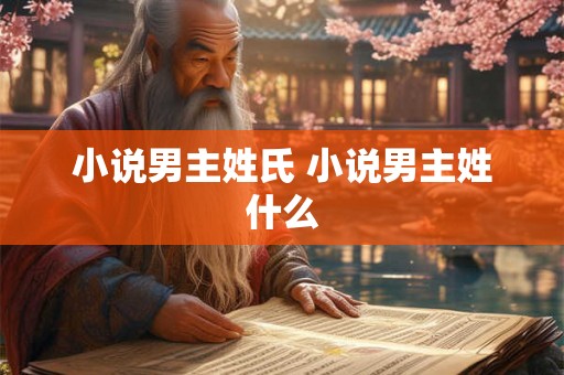 小说男主姓氏 小说男主姓什么