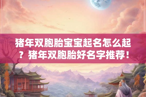 猪年双胞胎宝宝起名怎么起？猪年双胞胎好名字推荐！