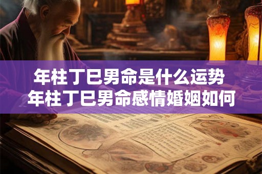 年柱丁巳男命是什么运势 年柱丁巳男命感情婚姻如何