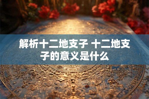 解析十二地支子 十二地支子的意义是什么