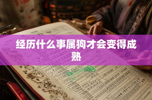 经历什么事属狗才会变得成熟