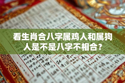 看生肖合八字属鸡人和属狗人是不是八字不相合？