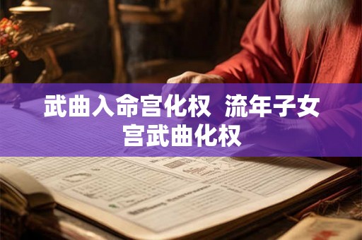 武曲入命宫化权  流年子女宫武曲化权