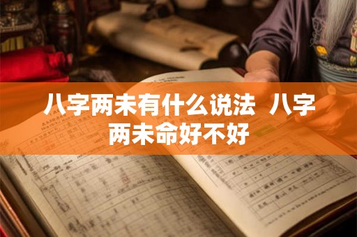八字两未有什么说法  八字两未命好不好