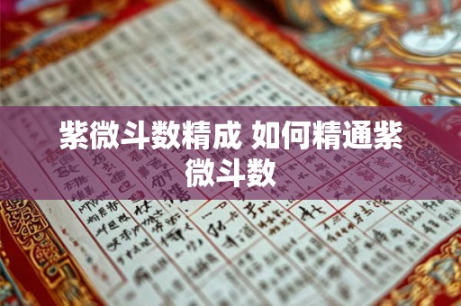 紫微斗数精成 如何精通紫微斗数