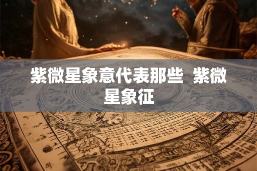紫微星象意代表那些  紫微星象征