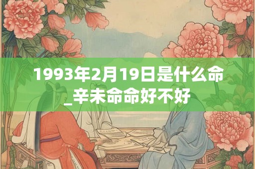 1993年2月19日是什么命_辛未命命好不好