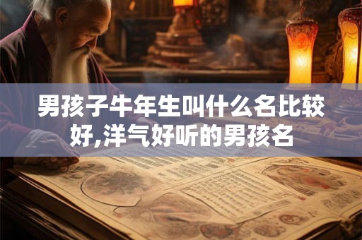 男孩子牛年生叫什么名比较好,洋气好听的男孩名