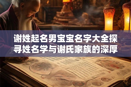 谢姓起名男宝宝名字大全探寻姓名学与谢氏家族的深厚渊源