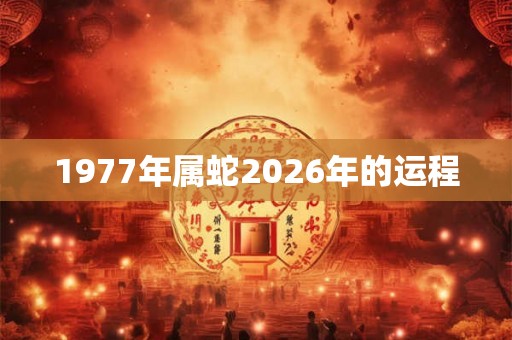 1977年属蛇2026年的运程