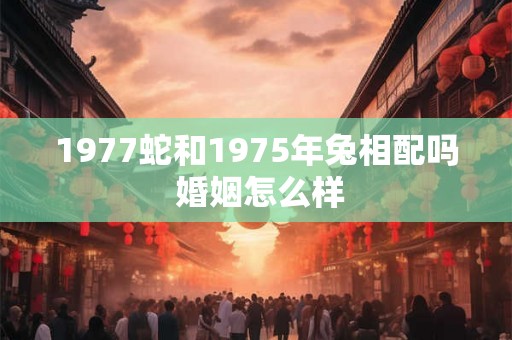 1977蛇和1975年兔相配吗 婚姻怎么样