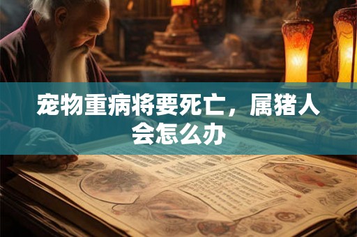 宠物重病将要死亡，属猪人会怎么办