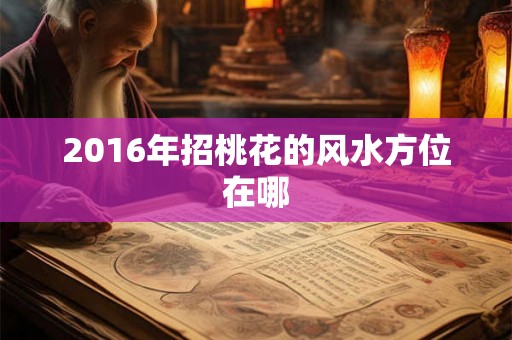 2016年招桃花的风水方位在哪