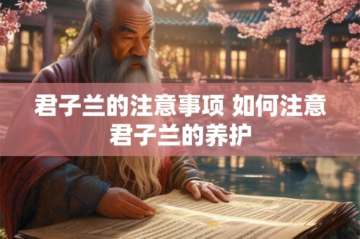 君子兰的注意事项 如何注意君子兰的养护
