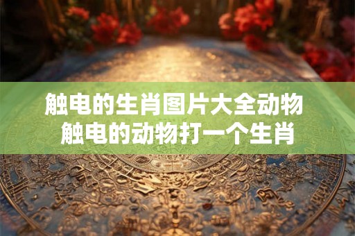 触电的生肖图片大全动物 触电的动物打一个生肖