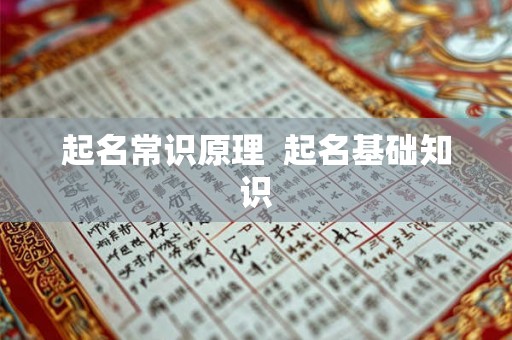 起名常识原理 起名基础知识 起名常识原理 起名基础知识