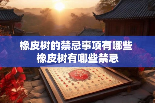 橡皮树的禁忌事项有哪些 橡皮树有哪些禁忌