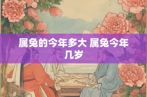 属兔的今年多大 属兔今年几岁