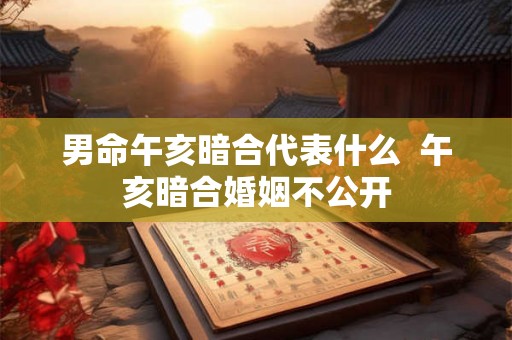男命午亥暗合代表什么  午亥暗合婚姻不公开