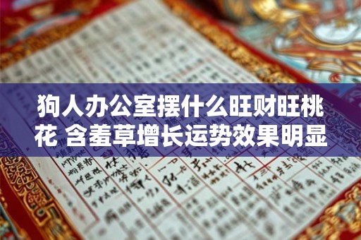 狗人办公室摆什么旺财旺桃花 含羞草增长运势效果明显