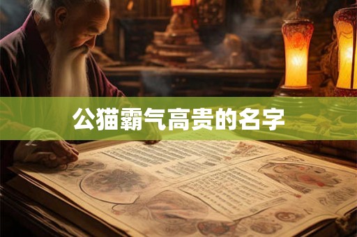 公猫霸气高贵的名字