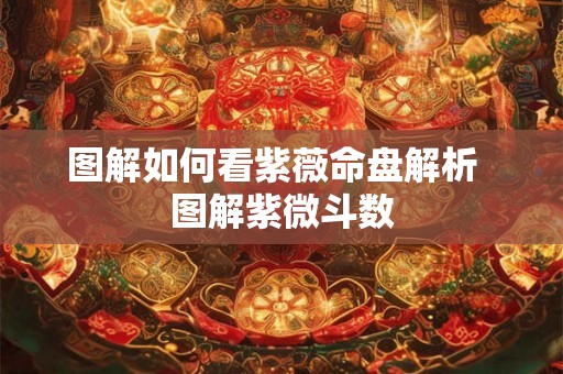 图解如何看紫薇命盘解析  图解紫微斗数