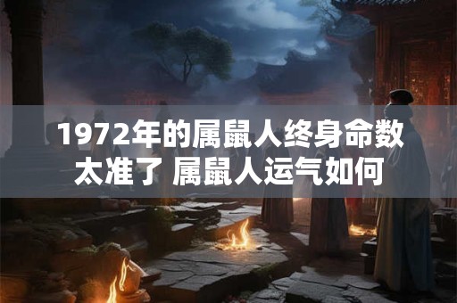 1972年的属鼠人终身命数太准了 属鼠人运气如何