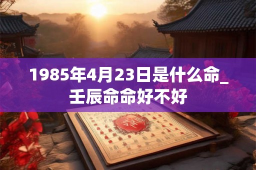 1985年4月23日是什么命_壬辰命命好不好