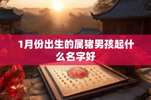 1月份出生的属猪男孩起什么名字好