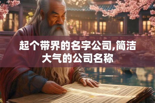 起个带界的名字公司,简洁大气的公司名称