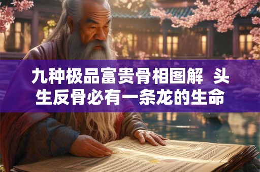 九种极品富贵骨相图解 头生反骨必有一条龙的生命 九种极品富贵骨相图解 头生反骨必有一条龙的生命
