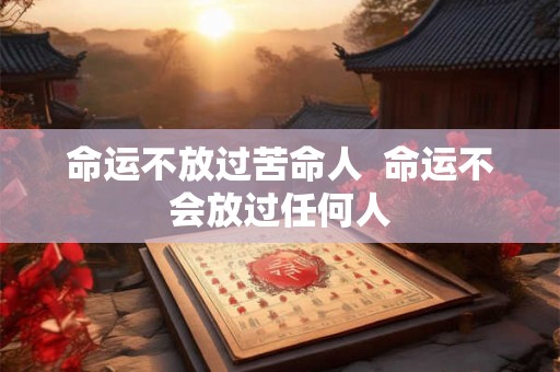 命运不放过苦命人  命运不会放过任何人