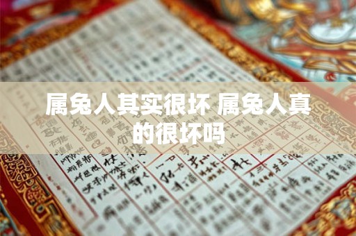 属兔人其实很坏 属兔人真的很坏吗