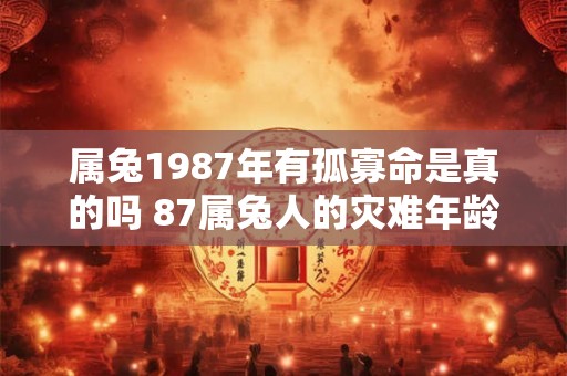 属兔1987年有孤寡命是真的吗 87属兔人的灾难年龄 属兔1987年有孤寡命是真的吗 87属兔人的灾难年龄