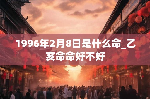 1996年2月8日是什么命_乙亥命命好不好
