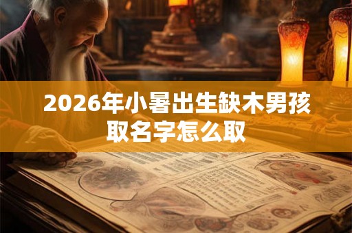2026年小暑出生缺木男孩取名字怎么取