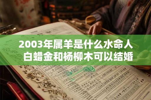 2003年属羊是什么水命人  白蜡金和杨柳木可以结婚吗