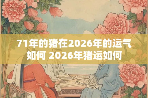 71年的猪在2026年的运气如何 2026年猪运如何