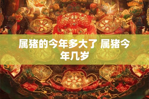 属猪的今年多大了 属猪今年几岁