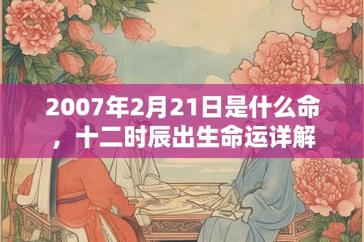 2007年2月21日是什么命，十二时辰出生命运详解