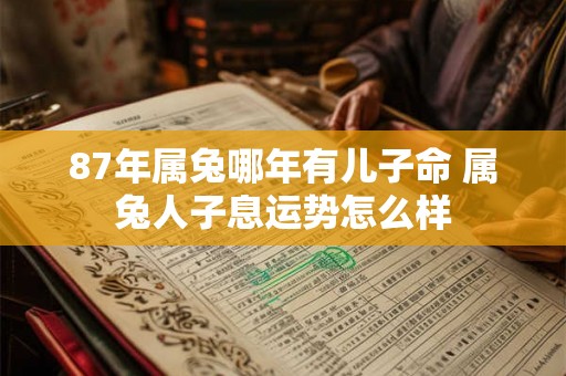 87年属兔哪年有儿子命 属兔人子息运势怎么样