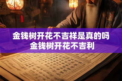 金钱树开花不吉祥是真的吗 金钱树开花不吉利