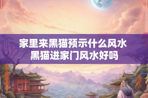 家里来黑猫预示什么风水 黑猫进家门风水好吗