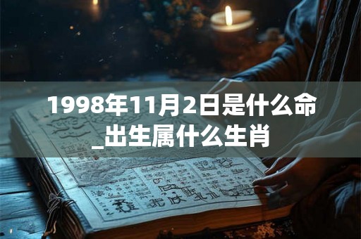 1998年11月2日是什么命_出生属什么生肖