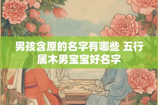 男孩含原的名字有哪些 五行属木男宝宝好名字