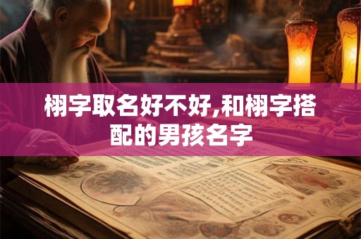 栩字取名好不好,和栩字搭配的男孩名字