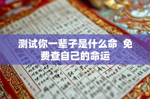 测试你一辈子是什么命  免费查自己的命运