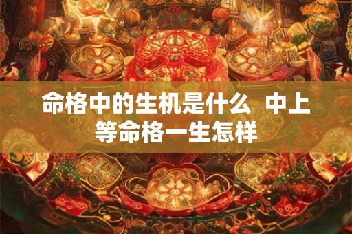 命格中的生机是什么  中上等命格一生怎样