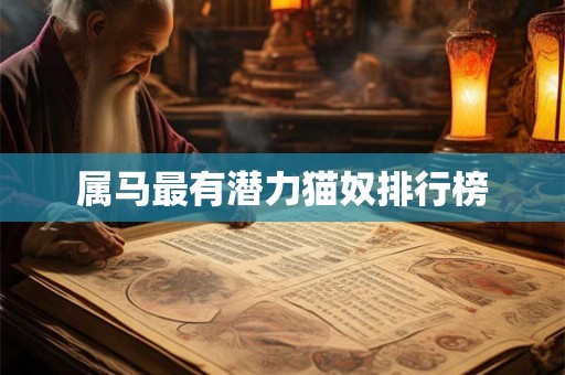 属马最有潜力猫奴排行榜 属马最有潜力猫奴排行榜